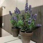 Pernjak Apartamento