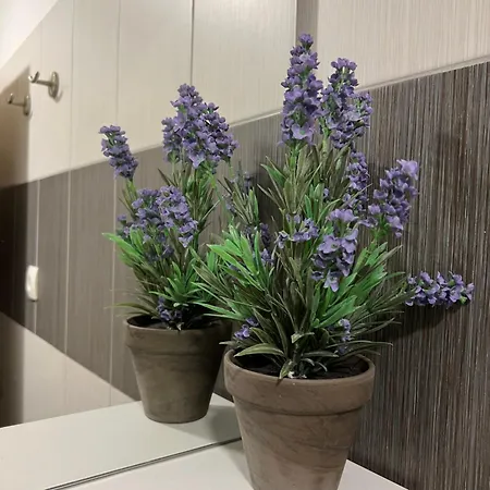 Pernjak Apartmán